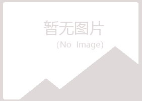 永靖县女孩会计有限公司